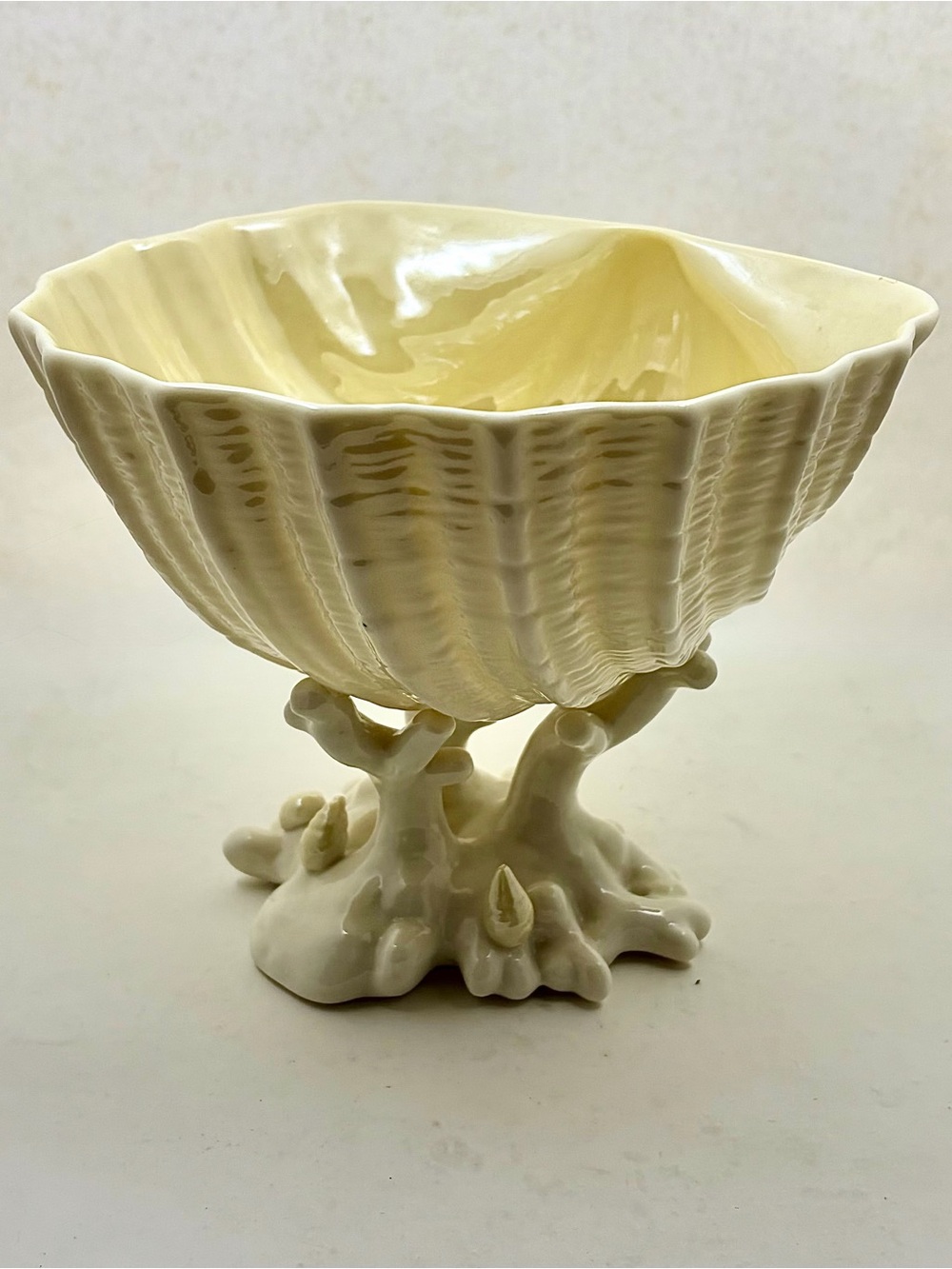BELLEEK Shell On Coral Base Bowl - Retired